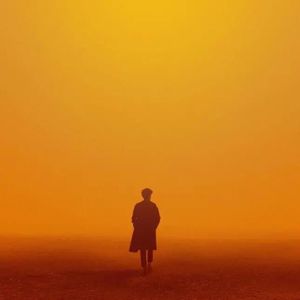 男人鸡鸡捅女人在线免费观看网站
